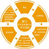 mii教学法