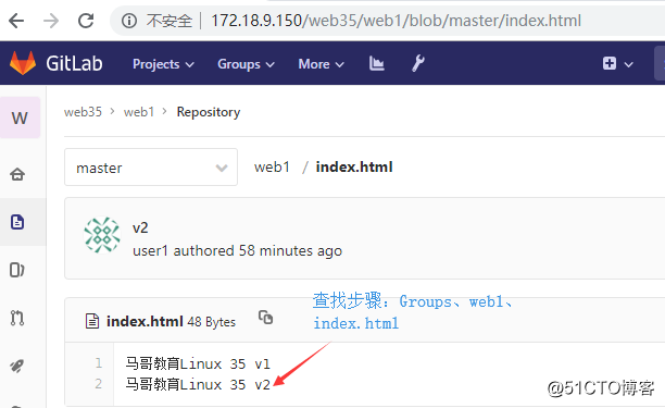 20190419    Gitlab部分