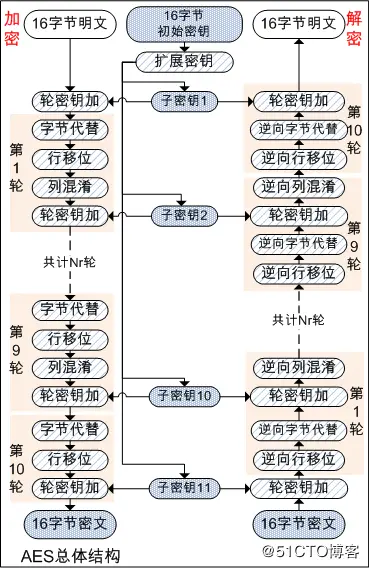结构示意图