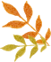 716021a21354c7d0ea6003600c4bef11.png