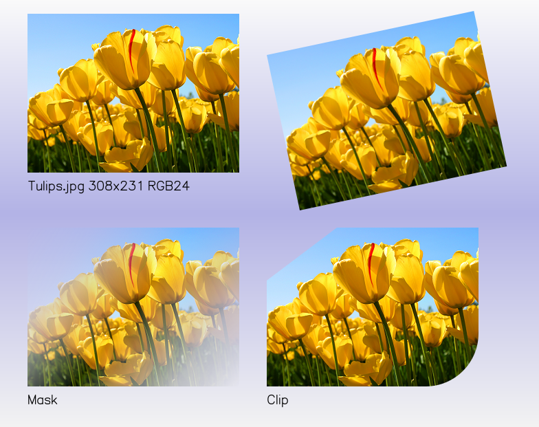 91f2b4dc5db175526699385de15ee008.png