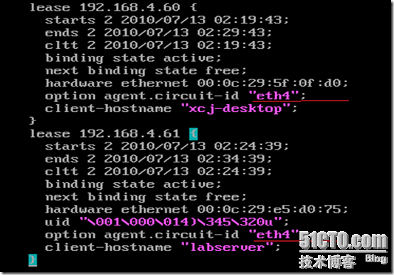 dhcp13