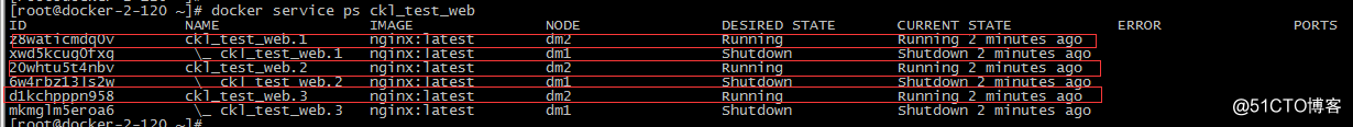 1313.png