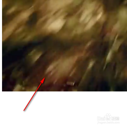 怎么在HTML网页中插入视频