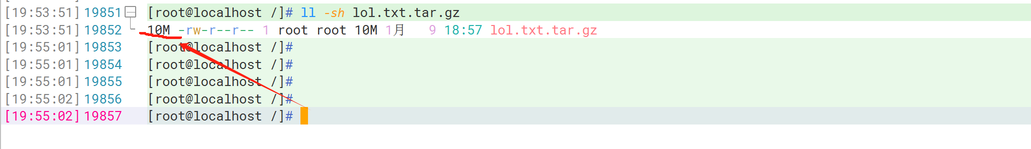 image-20240109195538981