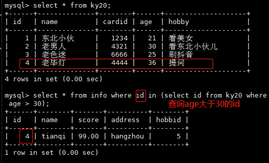 image-20220812111146757
