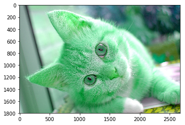img_03a92603f0d032fc76a8ee5e0170c487.png