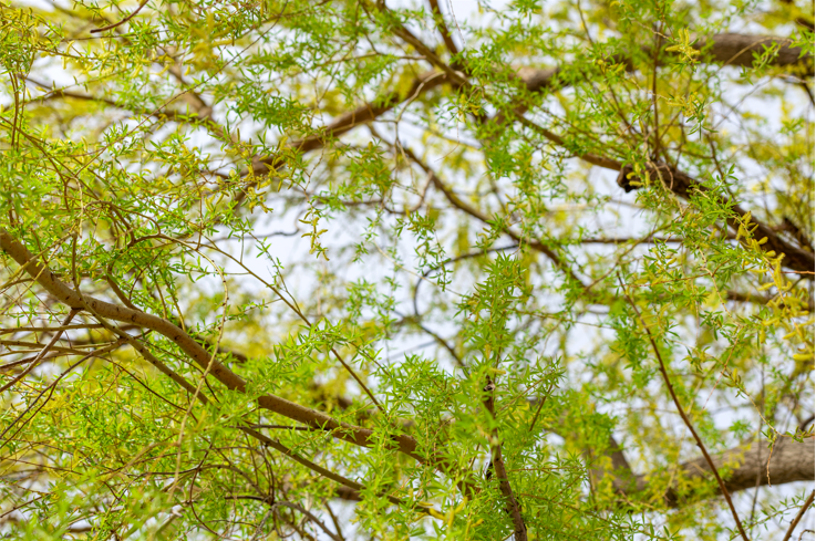 fe8954fd8246b65af6c0ef230f46de37.png