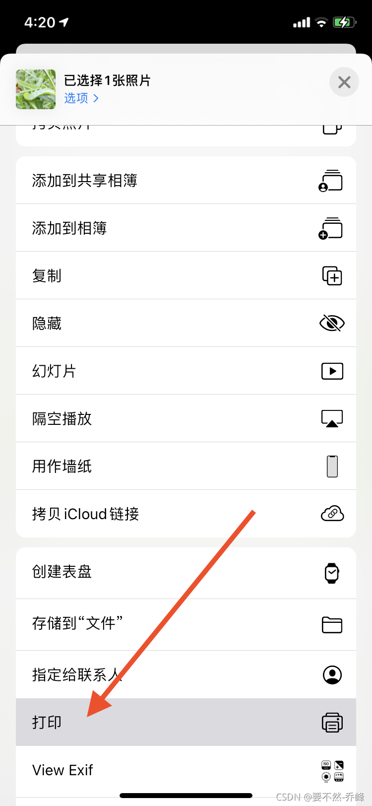 如何在iPhone 和iPad 上将你的照片转换为PDF？_ipad怎么把图片转成pdf-CSDN博客