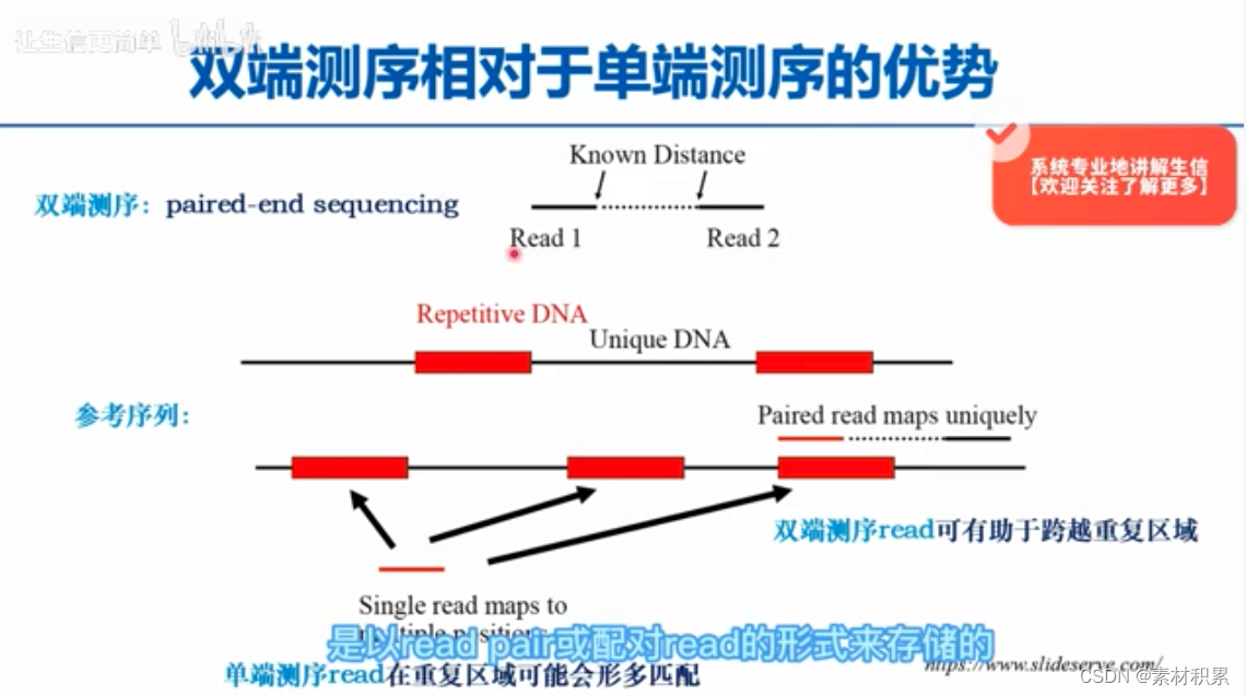 单细胞RNA测序详解:与群体测序差异及技术细节,-CSDN博客