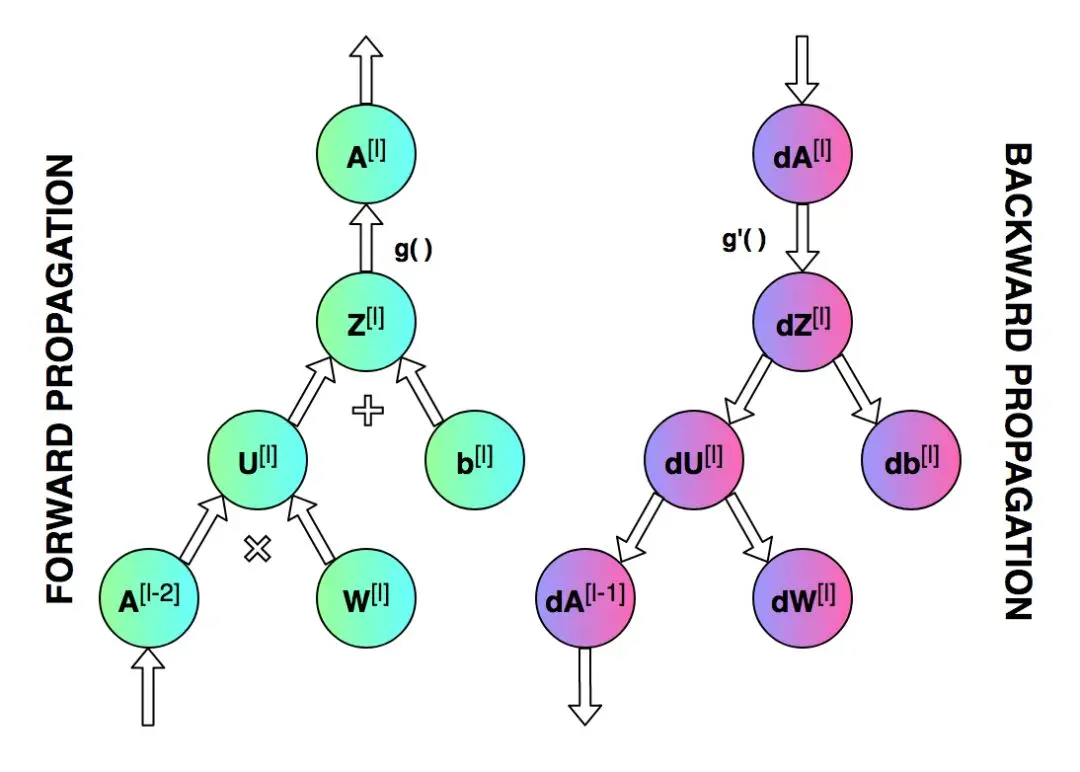 webp
