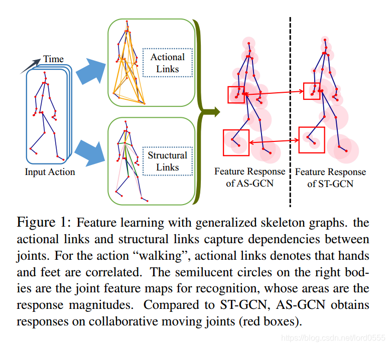 学习总结《Actional-Structural Graph Convolutional Networks for Skeleton ...