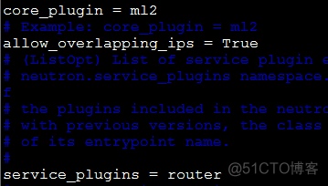Neutron 网络服务_桥接_53