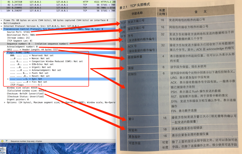 TCP头部格式