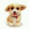 AmosWang