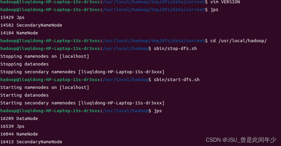 hadoop报错java.io.IOException: Incompatible clusterIDs in /usr/local ...