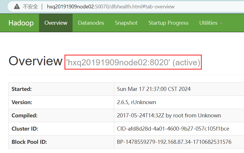 image-20240320095444991