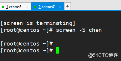screen简单使用