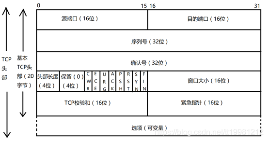 TCP头部