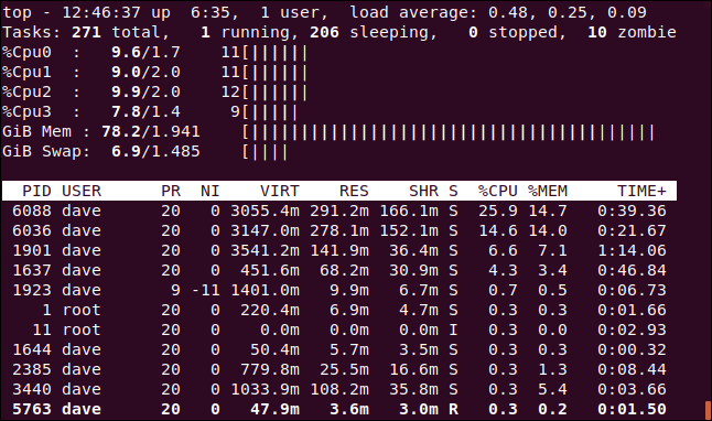 top with ASCII graphs for CPU and memory, in a terminal window.