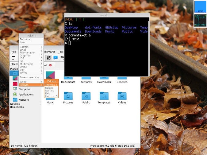 在Fedora上运行的Pekwm Pekwm running on Fedora