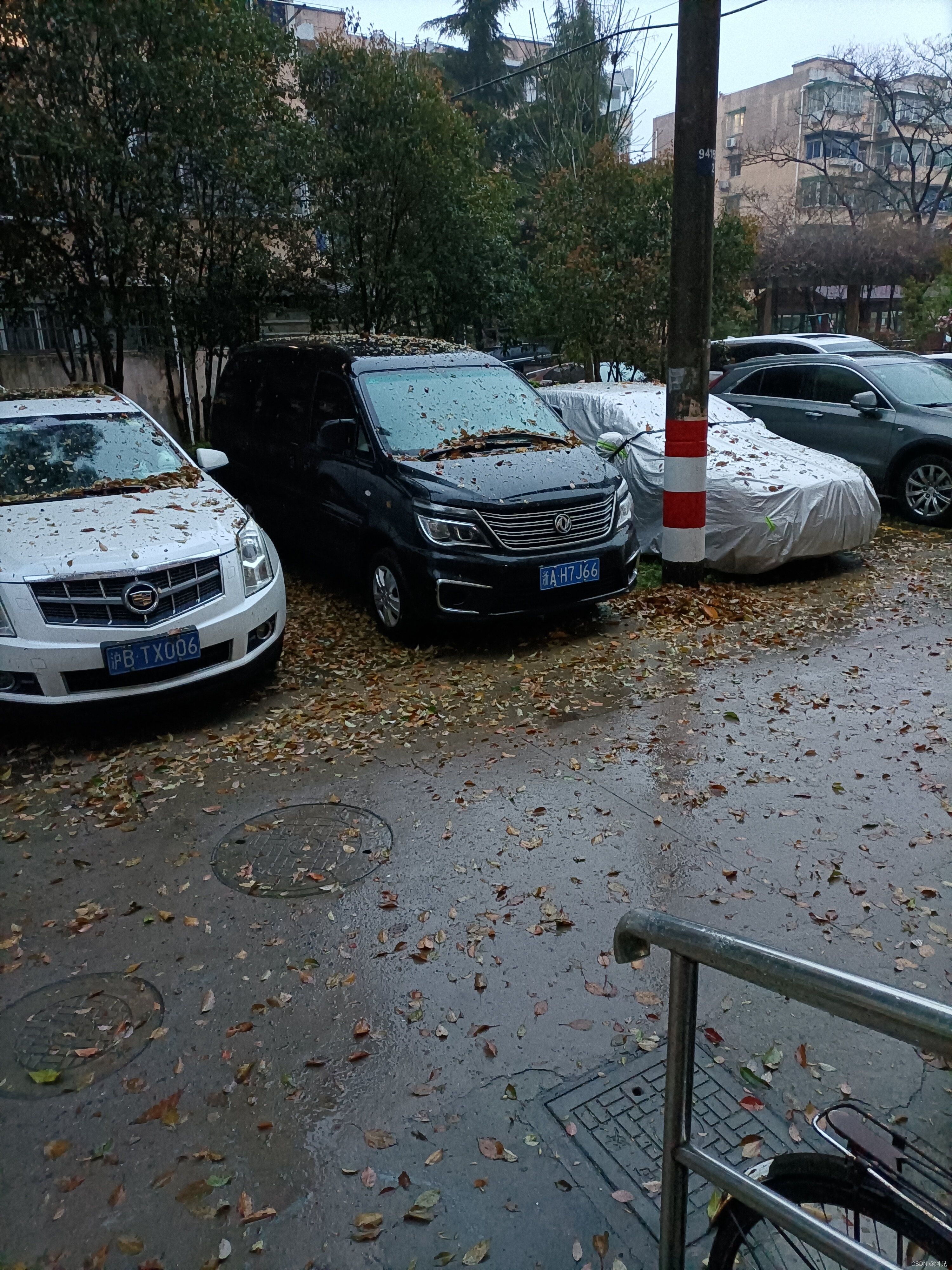 watermark,type_d3F5LXplbmhlaQ,shadow_50,text_Q1NETiBA6Zi_5YWE,size_20,color_FFFFFF,t_70,g_se,x_16