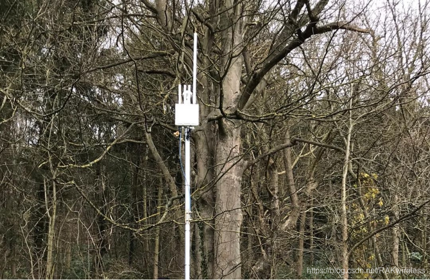 室外型LoRaWAN网关的常见安装环境