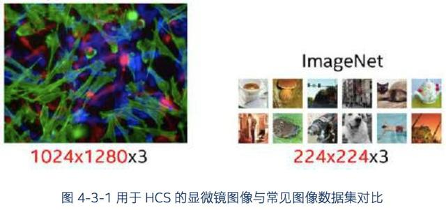 英特尔AI医疗实战曝光：10倍加速辅助诊断、准确度高达90%