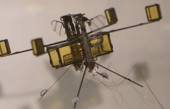2013年首次亮相的RoboBee，如今却能上天入海