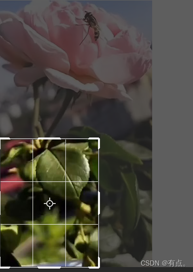 PS系统教程06-图片裁剪-详细版插图3 在这里插入图片描述