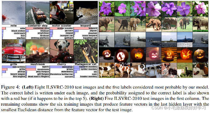 Visualizations