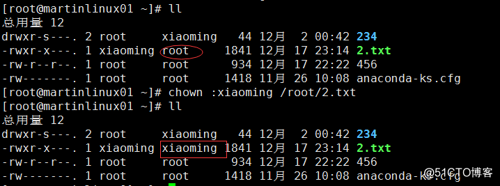 文件和目录权限chmod、umask、隐藏权限lsattr/chattr
