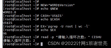 Shell变量的作用、类型_shell环境变量的作用-CSDN博客