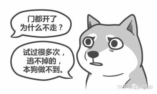 19f6b2e56648abc43d58bad246ac06e5.png