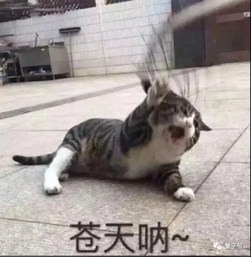 17d97d608b6b89614a48db1c06853ad4.png