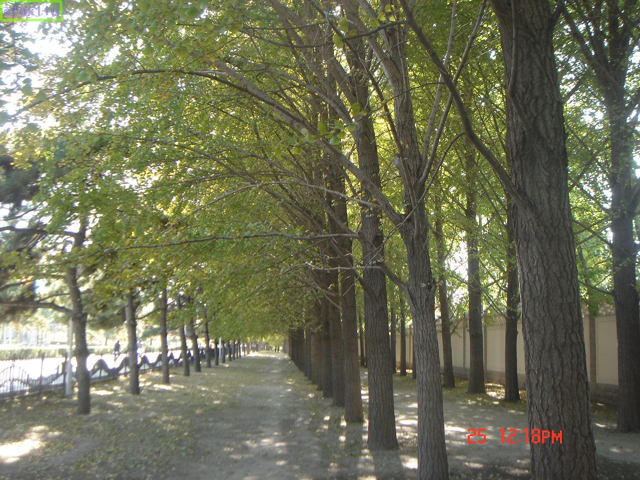 2008102609485896.jpg