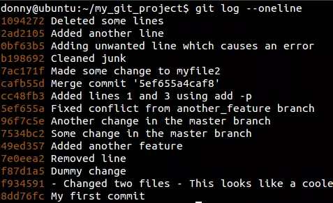 Project history