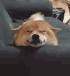 449b73b40164dad4923bb1ed0fab0f97.gif