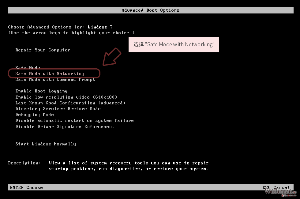 选择 'Safe Mode with Networking'
