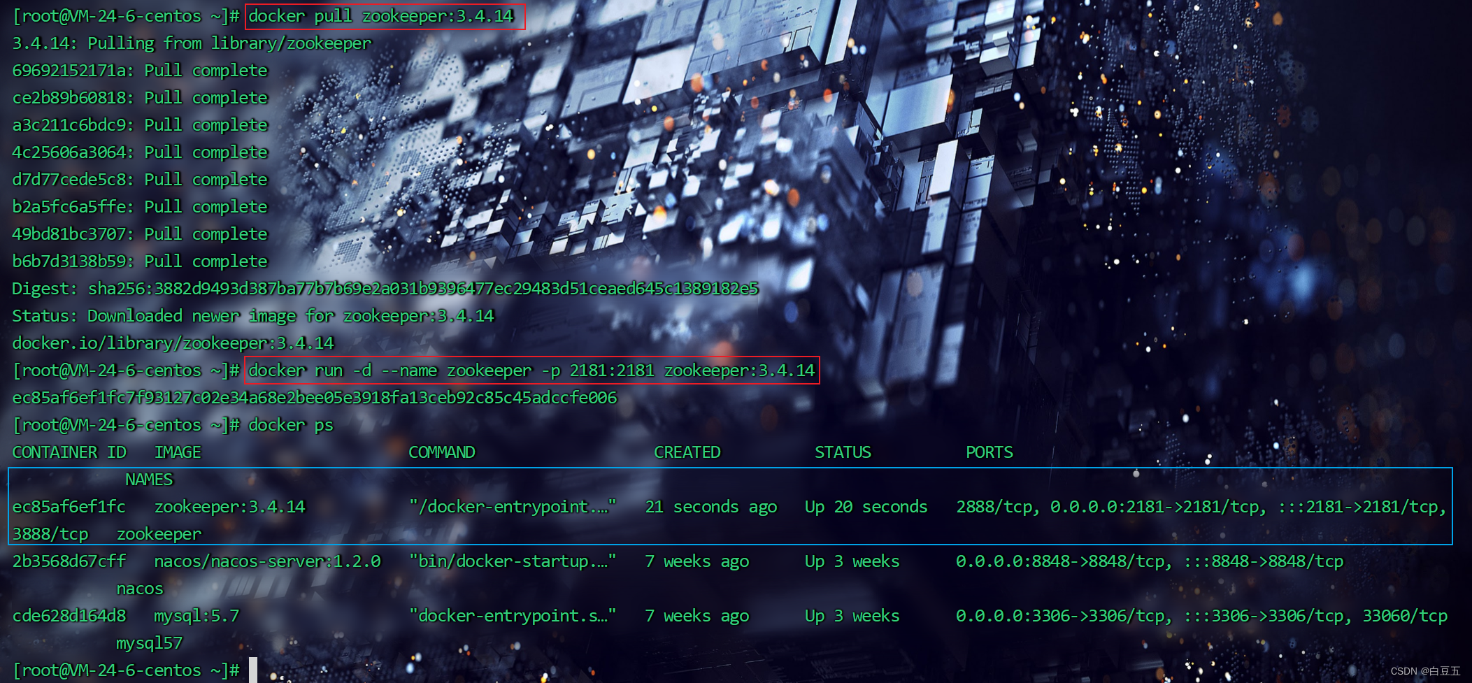 在这里插入图片描述