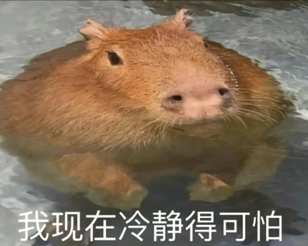 dd92b4dcffc5eecf3f5a72068d77c14b.png