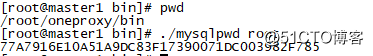 15.PNG