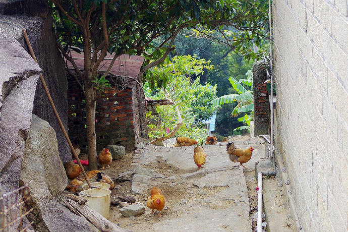 罗浮山自驾小结