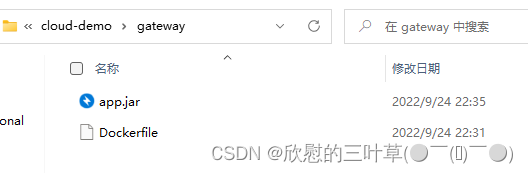**加粗样式**