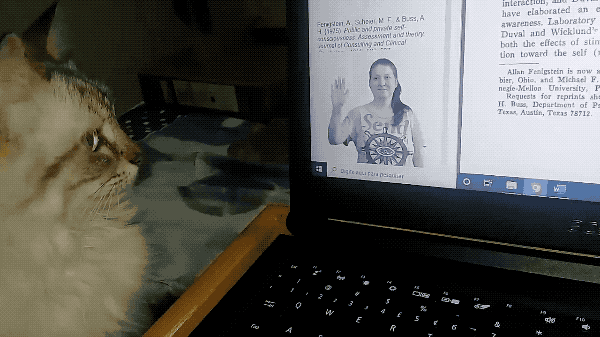 03b0c1acef12161d1d981e8f7a77c0a5.gif
