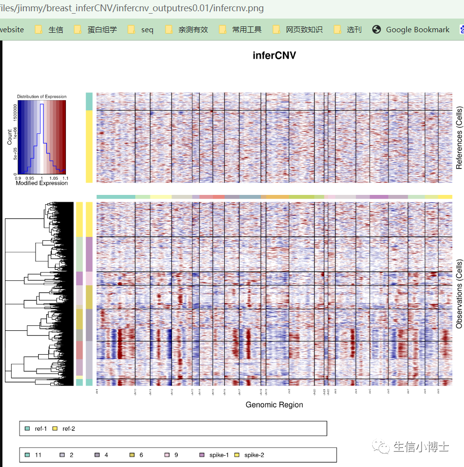 infercnv 三回首：深入理解infercnv为何能发nature-CSDN博客