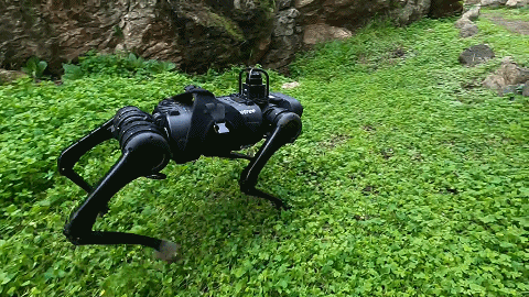 386ffb596056ccb51afccc945898b113.gif