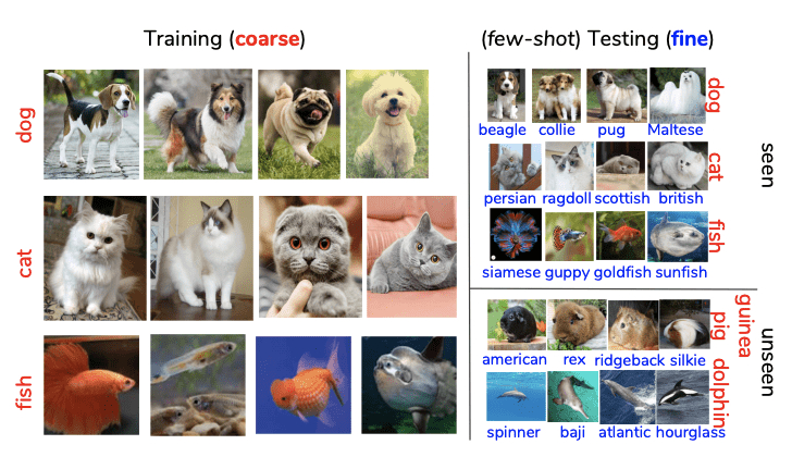 粗到细（C2FS）的小样本