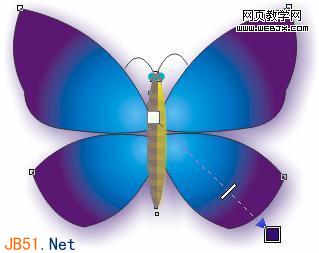 学会了Coreldraw看着有空制作蝴蝶细致明了 b2b软件 