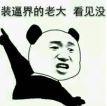 bd0a2324b3d296e51aa3bf869fb32dd3.png